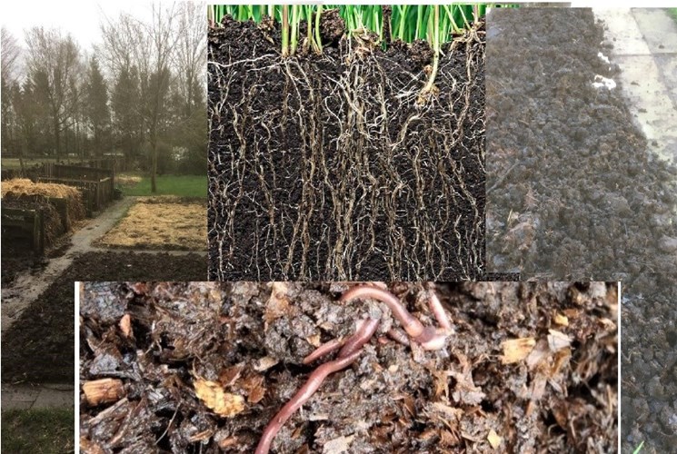 Afbeelding bij Bodemleven of levende bodem