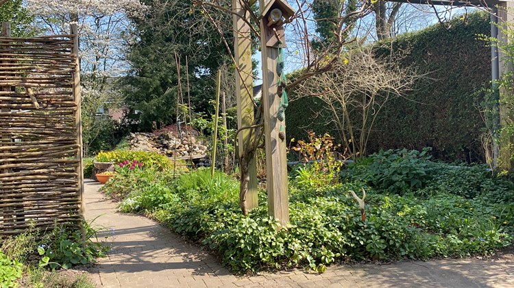 Onderhoudsarme tuin is een tuininrichting