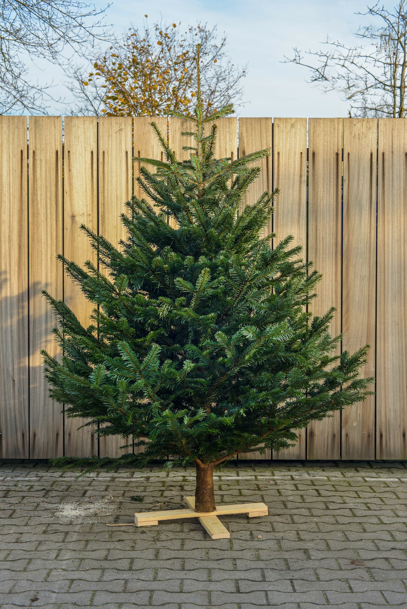 Online bestellen kerstboom in