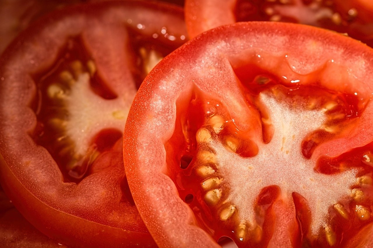 Tomaten-zaaien-schijven-in-grond