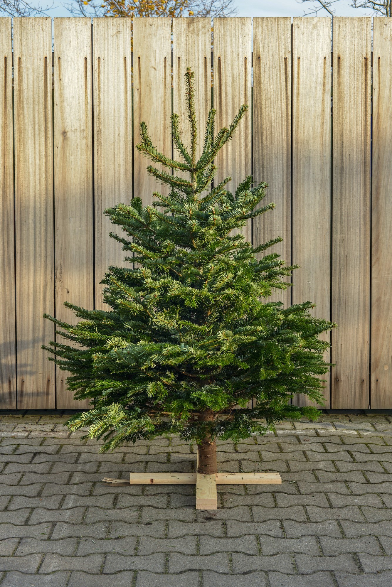 onderpand doorgaan met bezoeker Kerstbomen bezorgen Brabant
