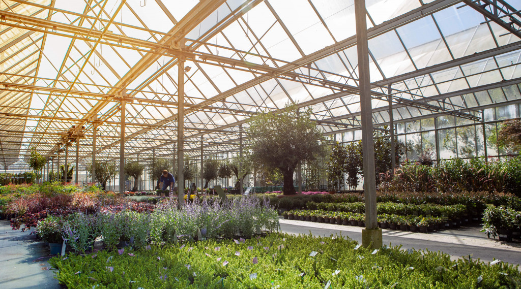 Afbeelding bij Ontdek dit unieke tuincentrum en plantenkwekerij in de provincie Friesland
