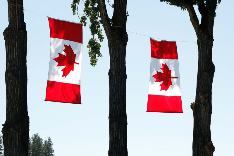 verschillende-soorten-bomenBlad-op-canadese-vlag-van-welke-boom-esdoornblad-suikeresdoorn-sapindaceae-inheems-groeien-canada-bladeren