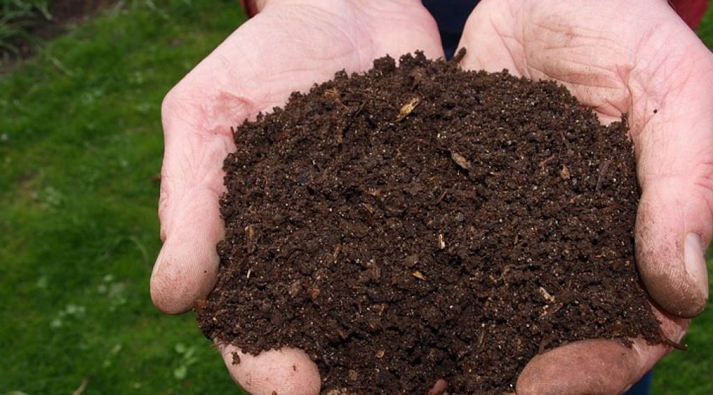 Afbeelding bij Bodemleven van ruw materiaal tot voeding voor planten.