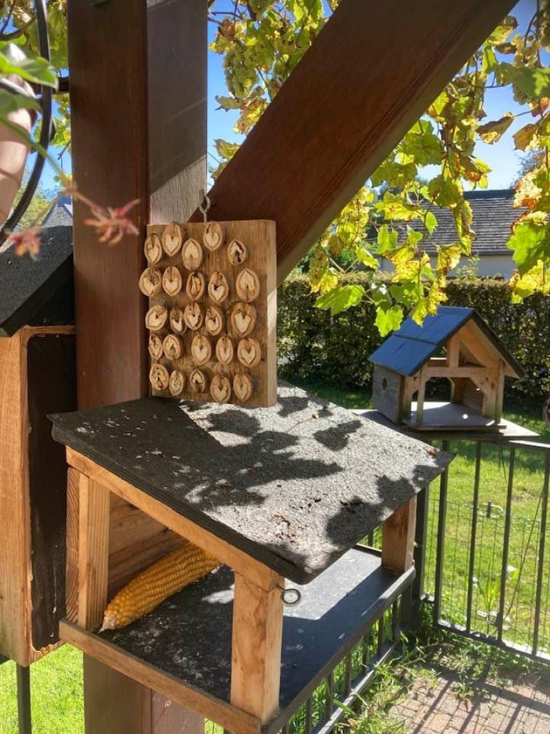 Voorbeelden eigengemaakte voederplank van walnoten Walnoot-voerplank-voor-vogels-zelf-maken-ophangen