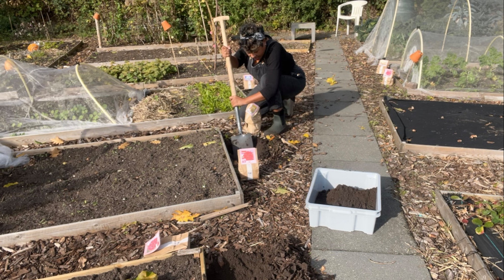 Afbeelding bij Mijn moestuin avontuur! Bekijk mijn vlog over mulchen en bloembollen planten.