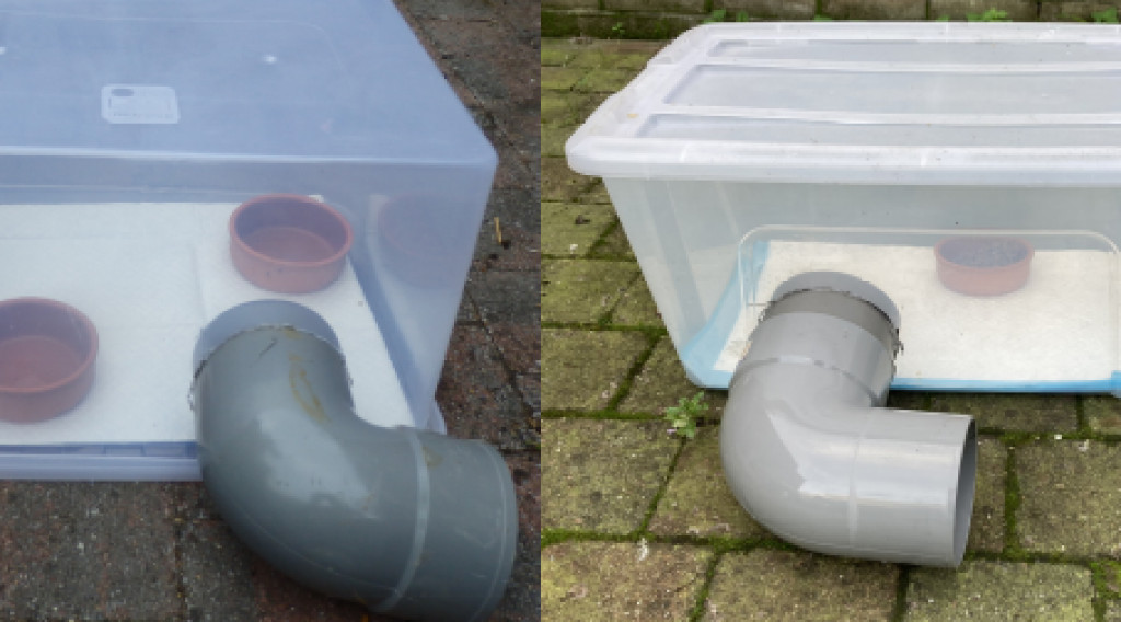 Afbeelding bij Een egel voederhuis maken
