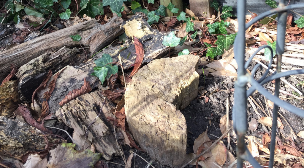 Afbeelding bij Rommelhoekjes in de tuin