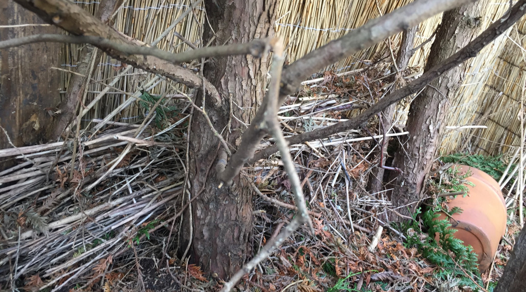 Afbeelding bij Rommelhoekjes in de tuin