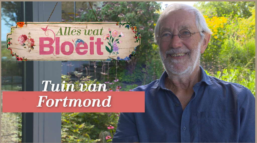 Afbeelding bij De Tuin van Fortmond