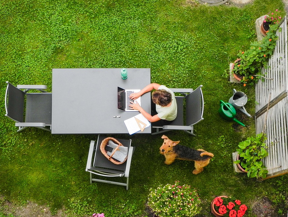 bloggen-blog-schrijven-tuin-planten-moestuin-tips-gratis-site-om-te-starten-met-bloggen