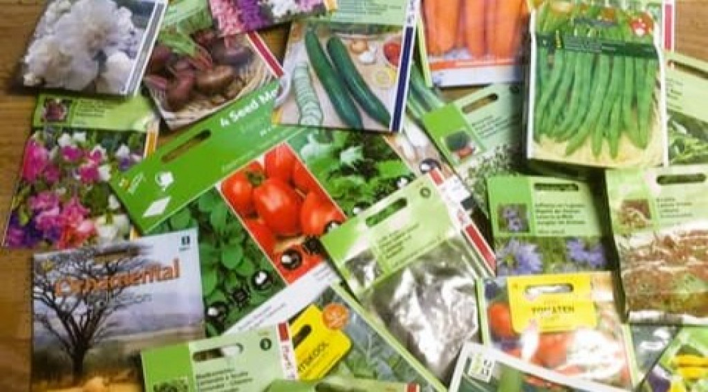 Afbeelding bij Maart zaaien in moestuin.