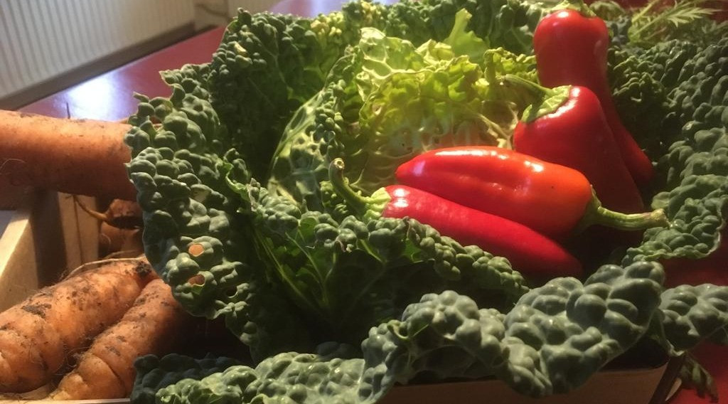 Afbeelding bij Pittige (winter)kost Kool