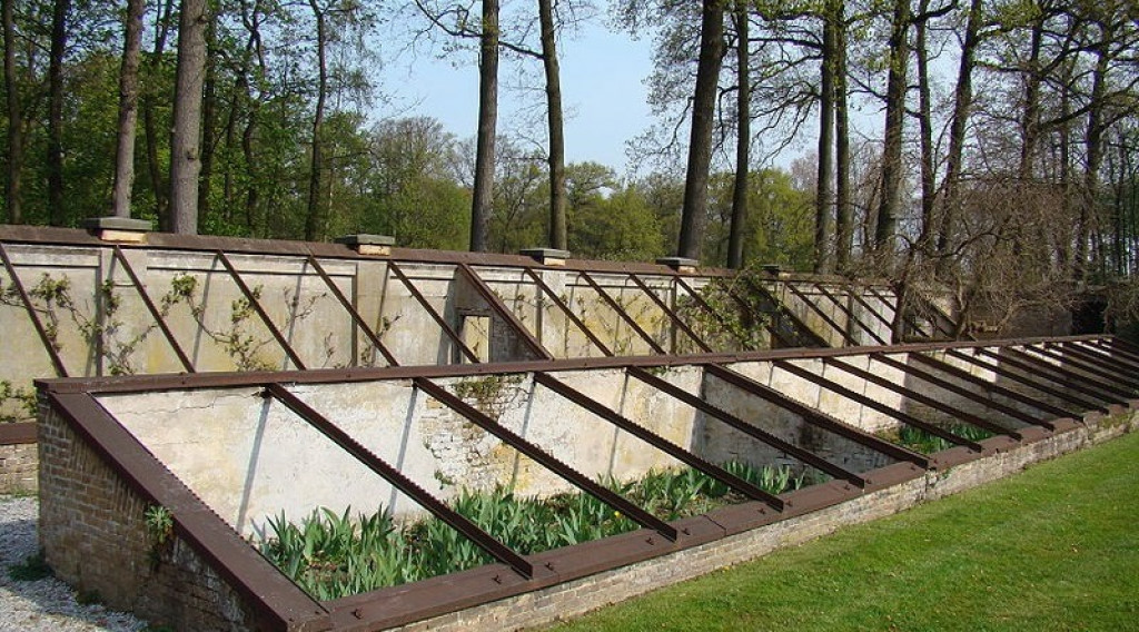 Afbeelding bij Weeuwenteelt. Niet echt vergeten groente, maar wel vergeten moestuin.