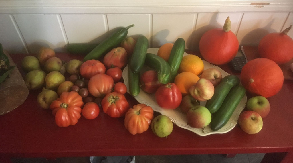 Afbeelding bij Hoeveel redenen heb je nodig om een moes- fruittuin te beginnen.