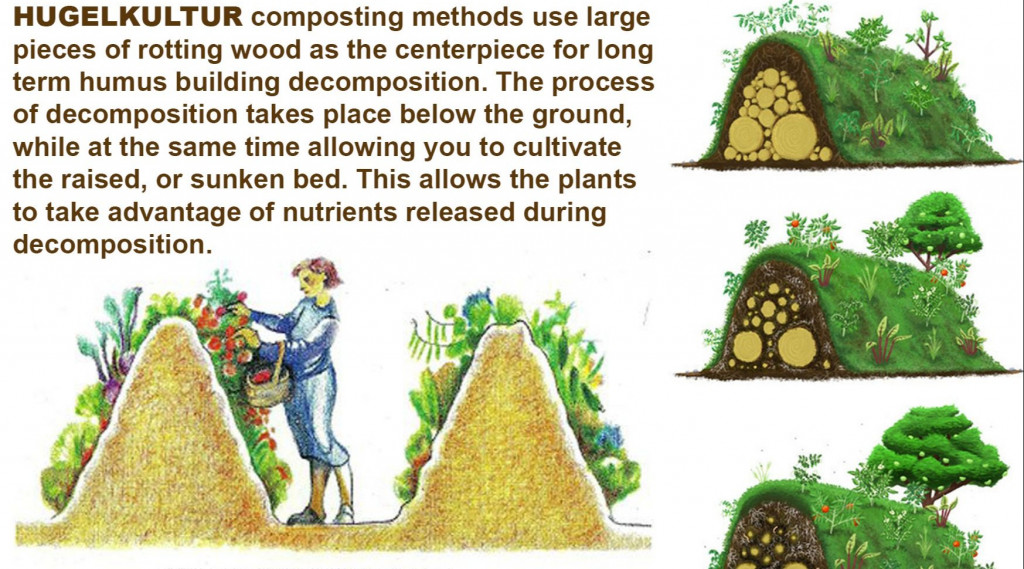 Afbeelding bij Hügelkultur moestuinieren en waarom deze uitleg.