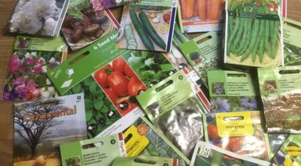 Afbeelding bij Moestuin in Mei