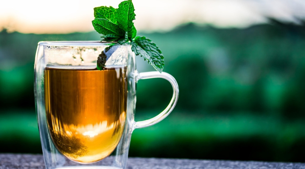 Afbeelding bij Groene thee uit eigen tuin: 5 makkelijke planten om zelf te kweken